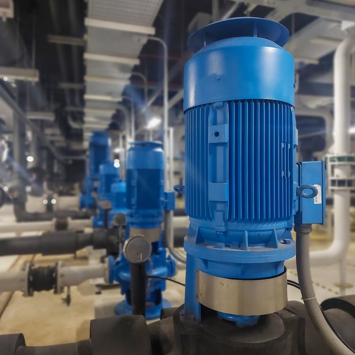 Industrial electric motor